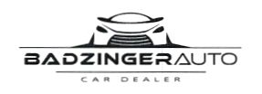 Лого ТМ dealer