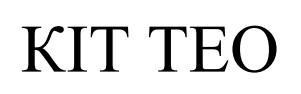 Лого ТМ тео