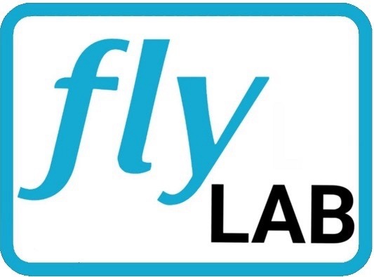 fly lab