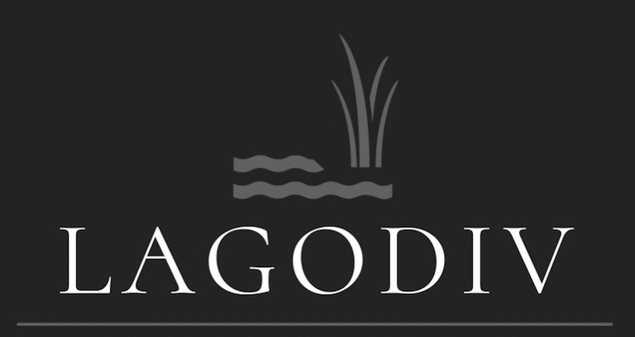 Зображення марки «lagodiv»