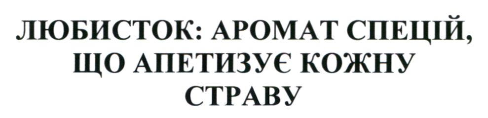 любисток: аромат спецій, що апетизує кожну страву