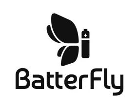 batter fly