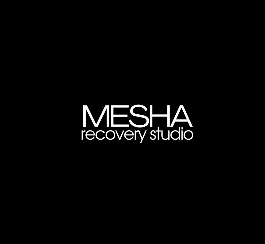 mesha recovery studio