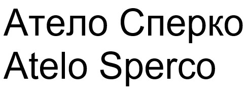 атело сперко