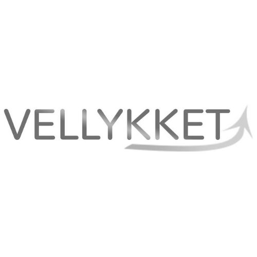 Зображення марки «vellykket»