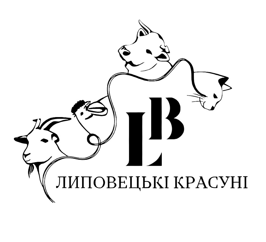 липовецькі красуні