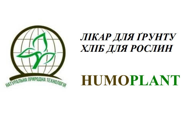 лікар для ґрунту хліб для рослин
