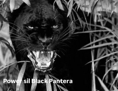 Зображення марки «power sil black pantera»