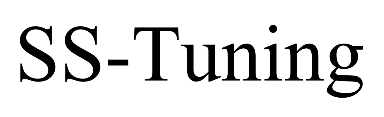 ss-tuning