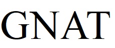 gnat