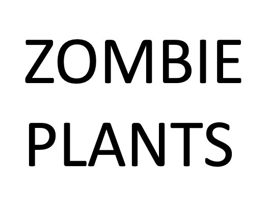 zombie plants