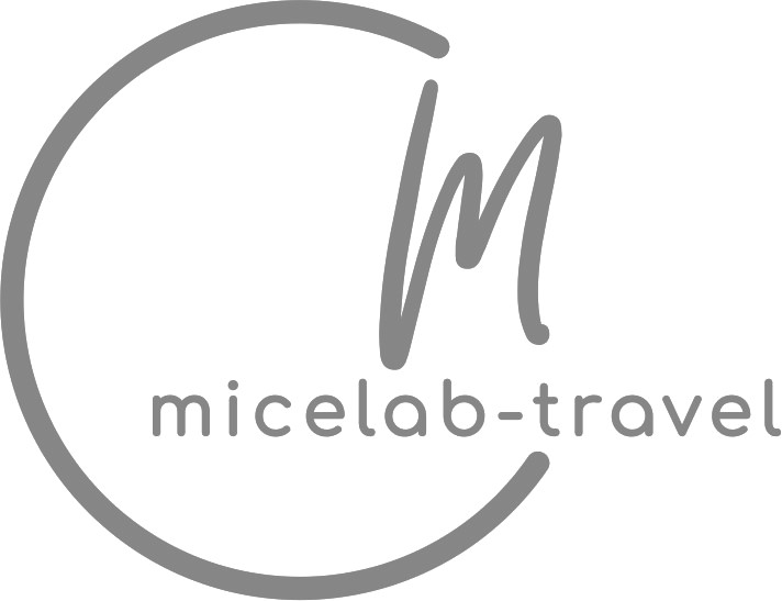 micelab travel