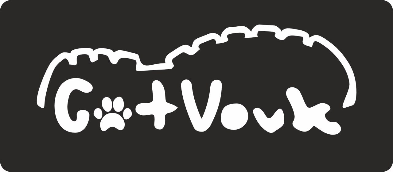 cat vovk