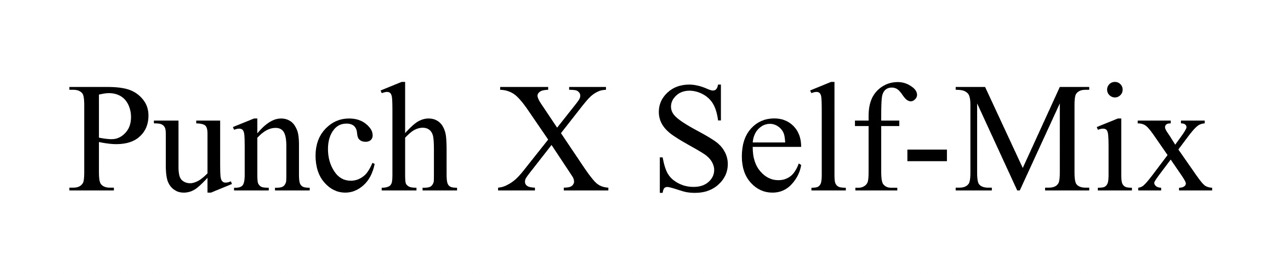 punch x self-mix