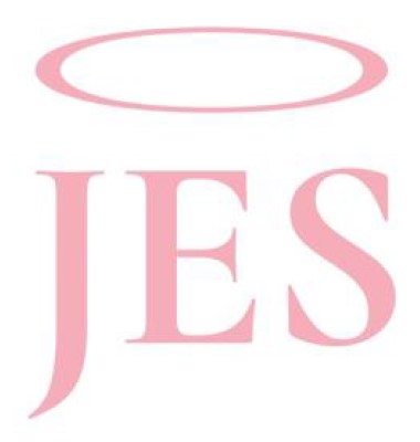 Зображення марки «jes»