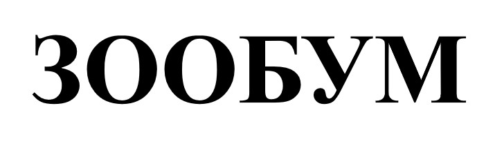 зообум