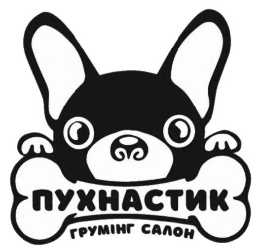пухнастик грумінг салон