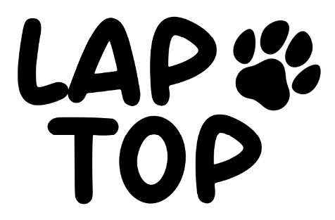 lap top