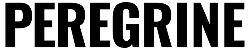 peregrine