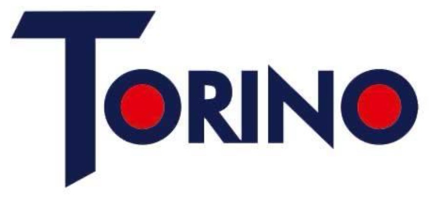 torino