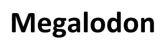 megalodon