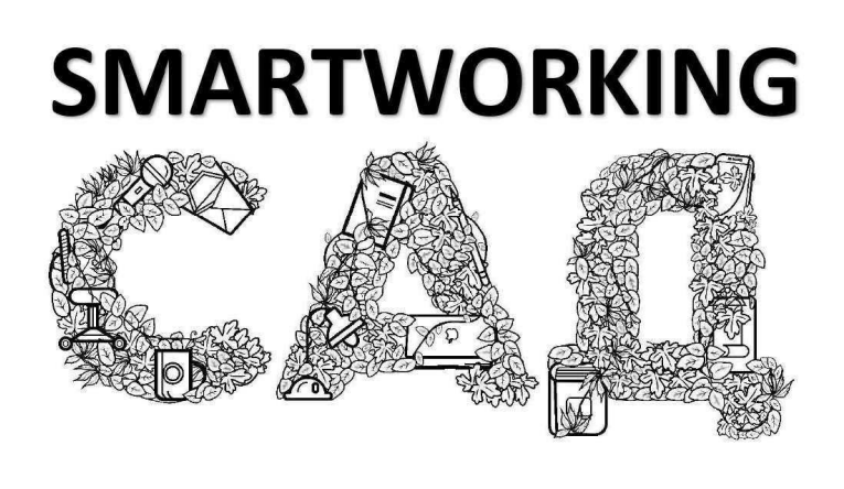 smartworking