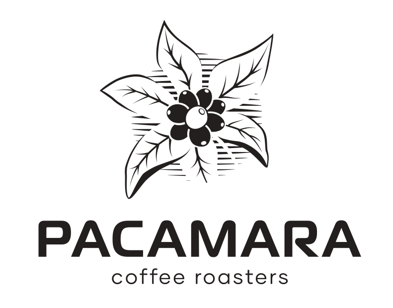 pacamara coffee roasters