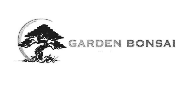 garden bonsai