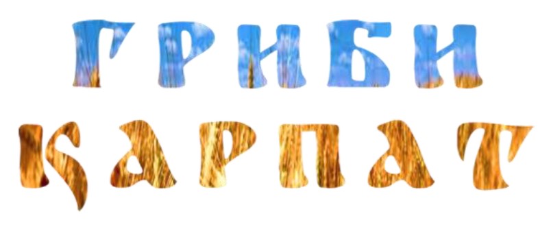 гриби қарпат