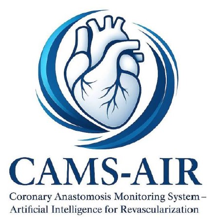 cams-air coronary anastomosis monitoring system - artificial intelligence for revascularization