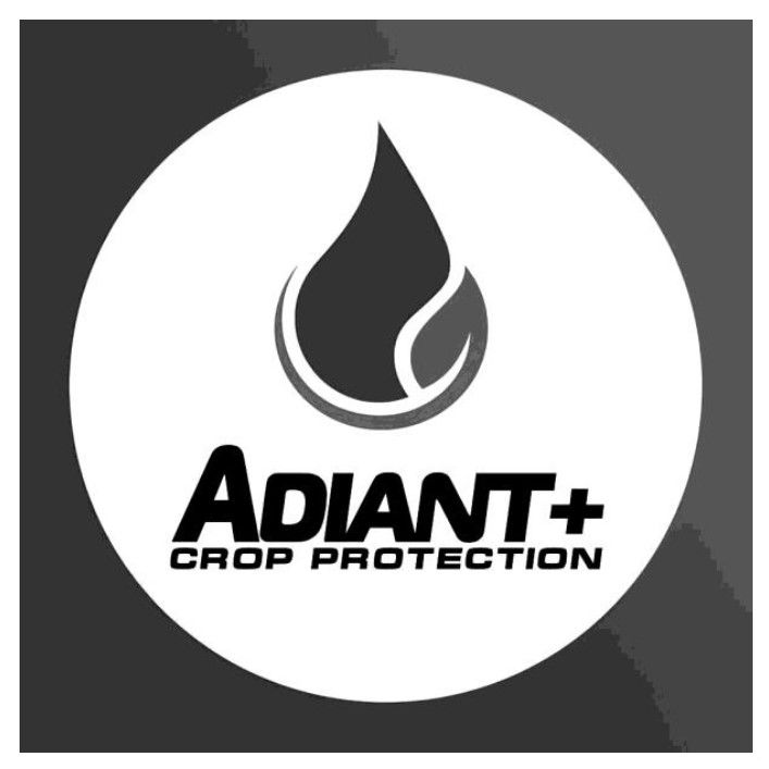 adiant+ crop protection
