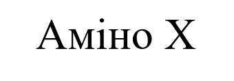 аміно х