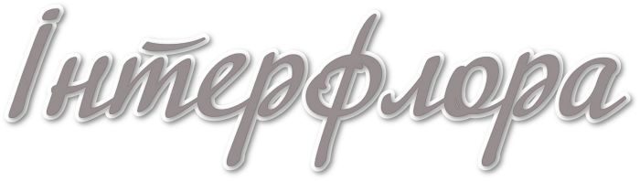 інтерфлора