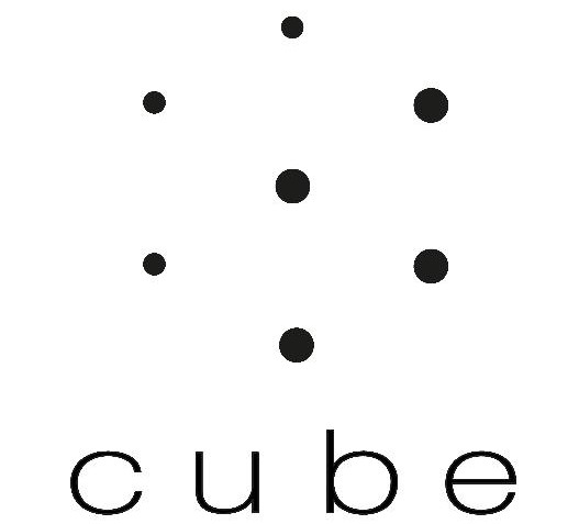 Лого ТМ cube