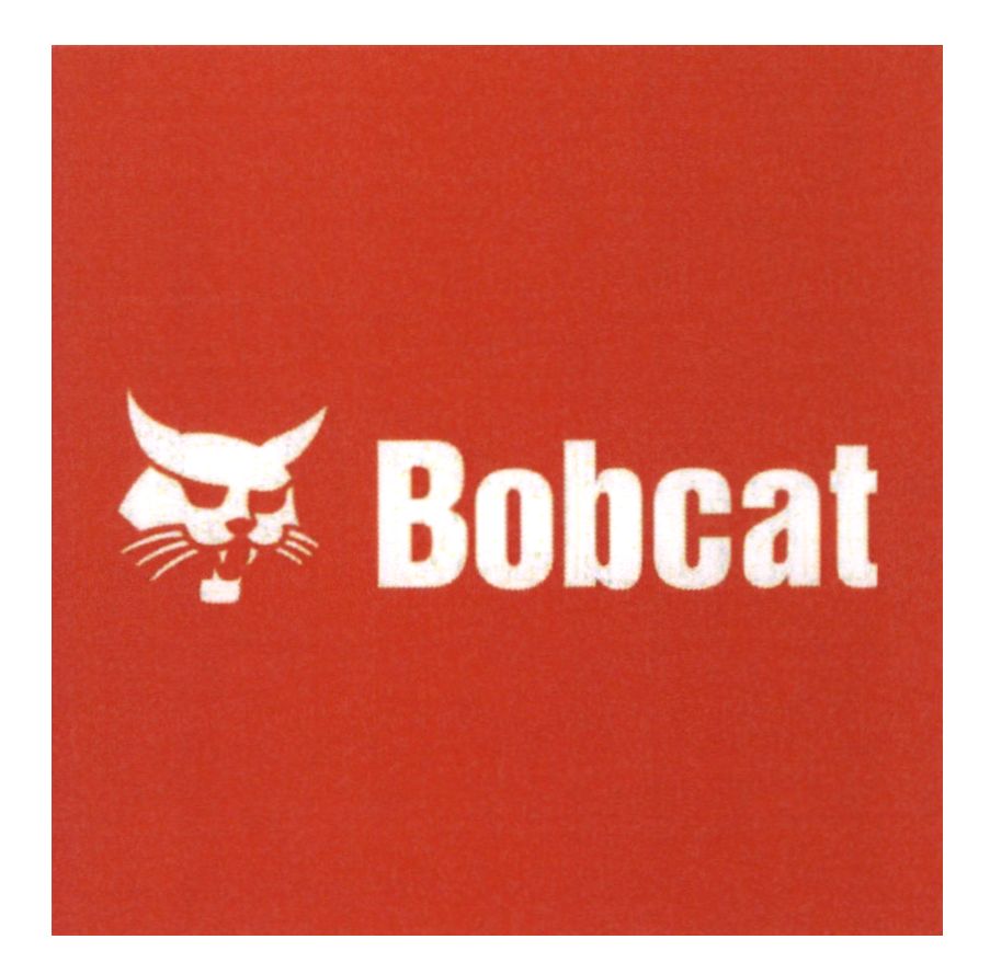 bobcat