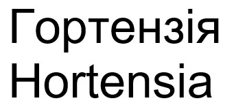 hortensia