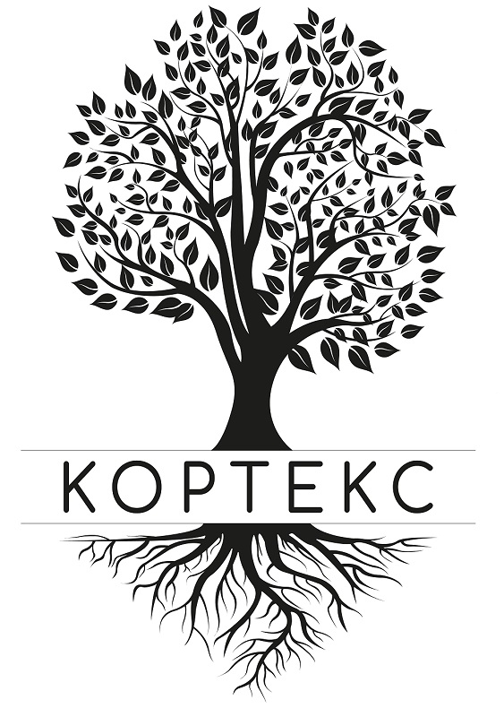 кортекс