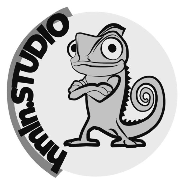 hmin.studio