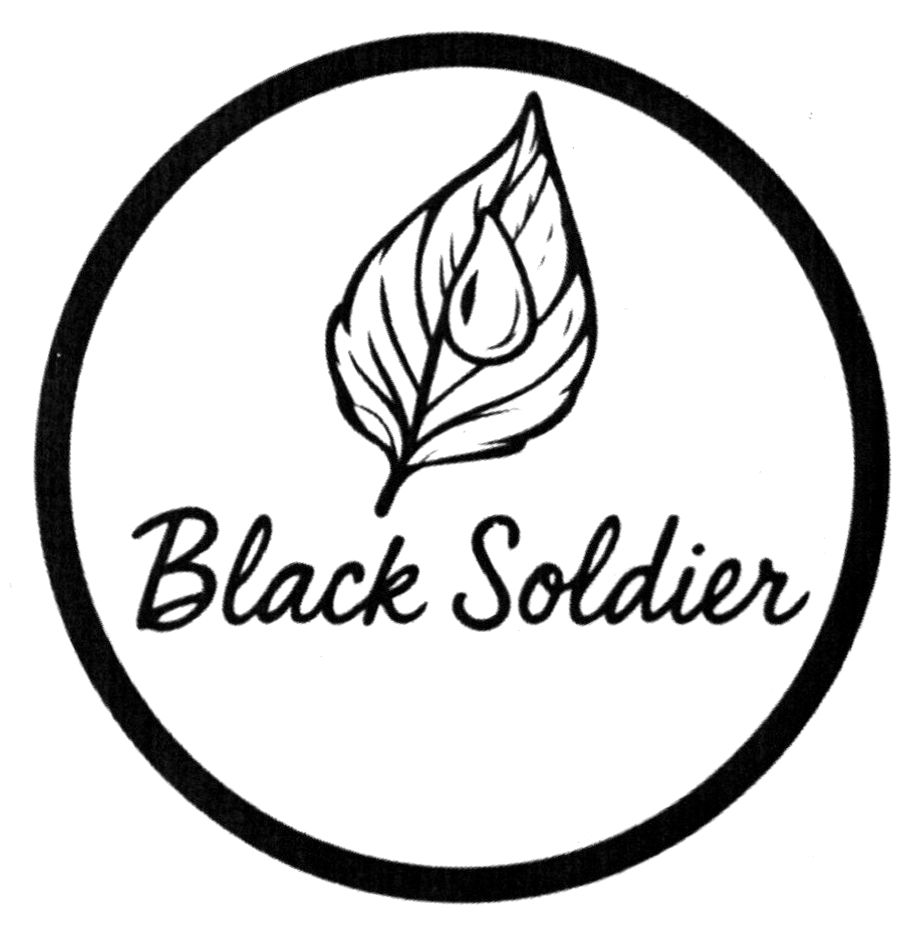 black soldier