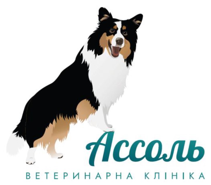 ассоль ветеринарна клініка
