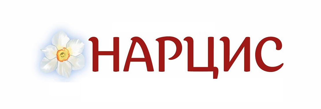 нарцис