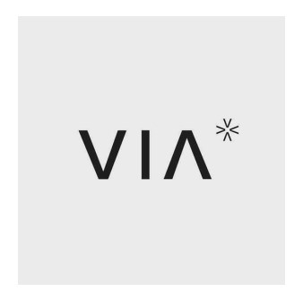 vvvv