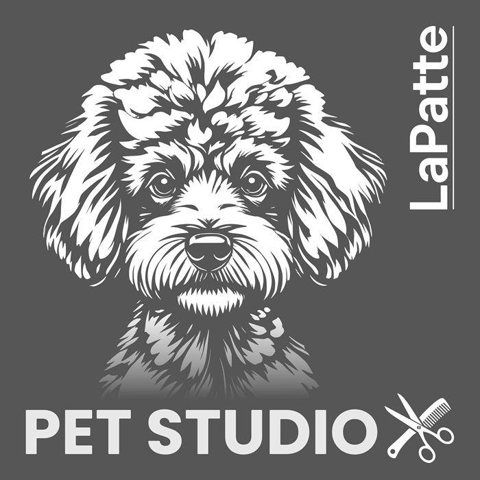 lapatte pet studio