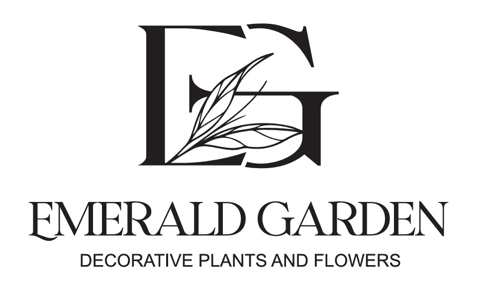 emerald garden decorative plants and flowers