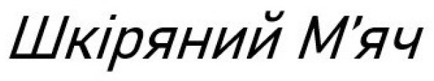шкіряний м`яч