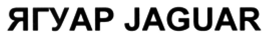 jaguar