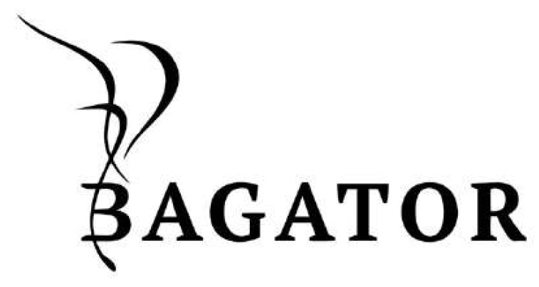 bagator