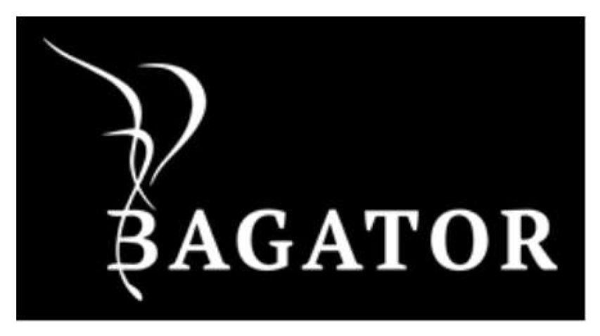 bagator