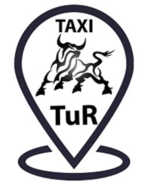 taxi tur