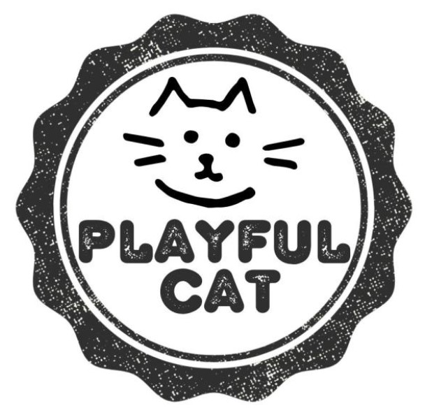 playful cat